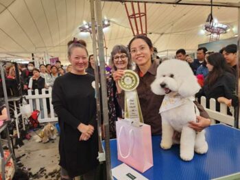 Award Winning Dog Groomers Melbourne