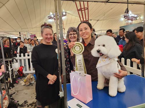 Award Winning Dog Groomers Melbourne