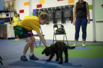 Puppy's training