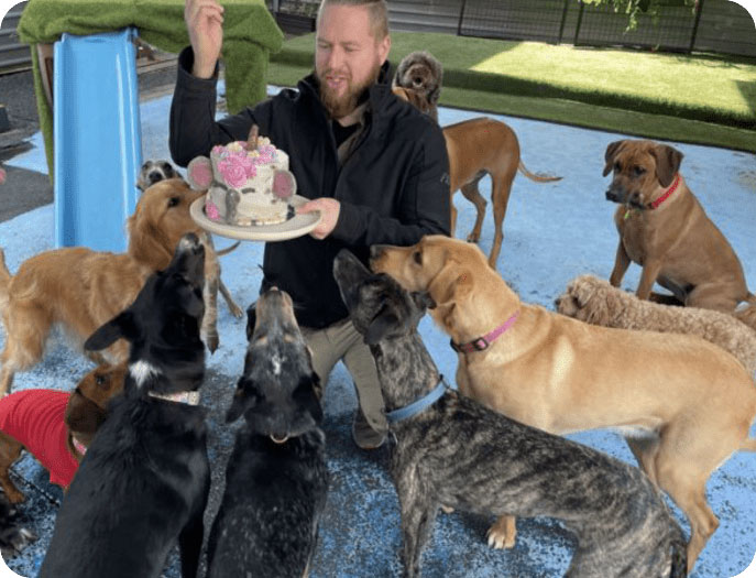 Woofers Dog Lounge Moorabbin New6