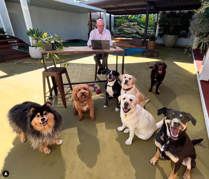 Woofers World Dog Lounge Dog Day Care Melbourne